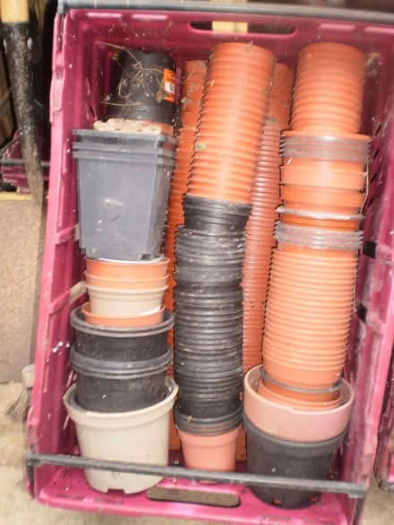 Photo of free Plantpots plastic (Oxton CH43) #1