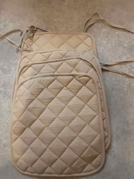Photo of free 4 seat pads (Emmbrook RG41) #1