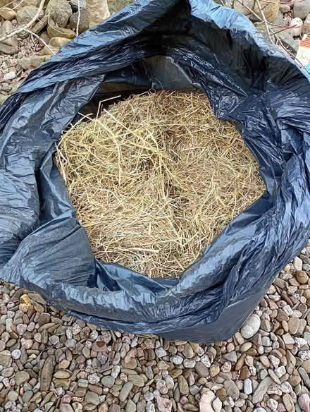 Photo of free Bag of pet Hay (Hereford south side.) #1