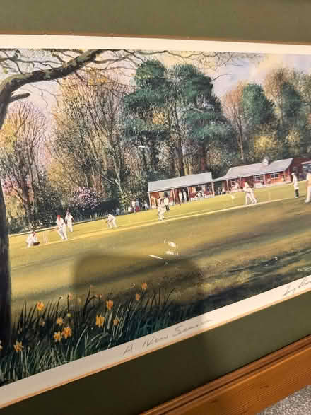 Photo of free Cricket print (CO4 Colchester) #2