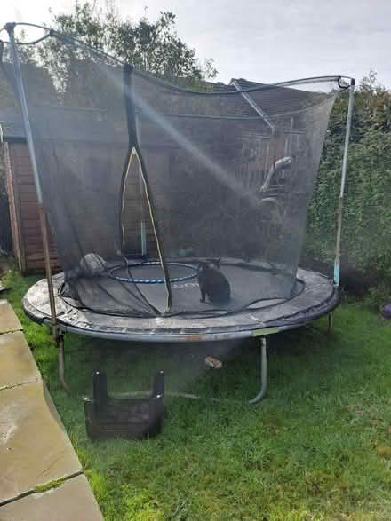 Photo of free 8ft trampoline (Buxton fairfield SK17) #1