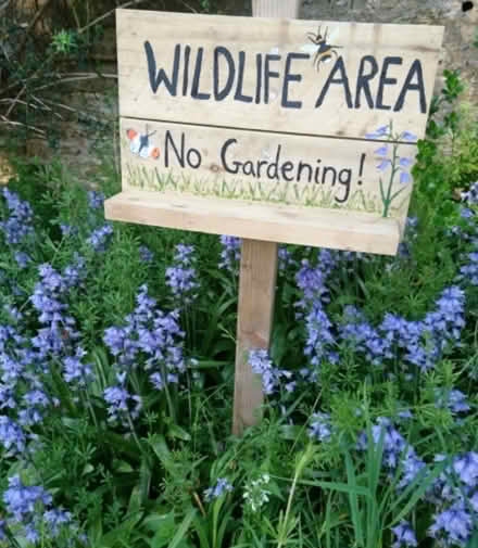 Photo of Garden Rockery Rocks (High Pittington DH6) #1