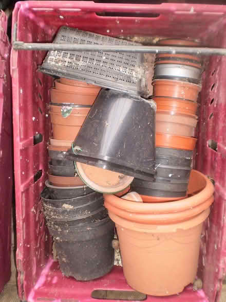 Photo of free Various Plantpots plastic (Oxton CH43) #1