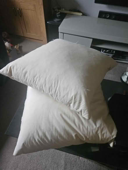 Photo of free 2 duck feather cushions (Stevenage SG2) #1