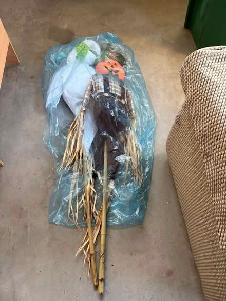 Photo of free Christmas & Halloween decorations (Gun Club/Jewell, Murphy Creek) #3