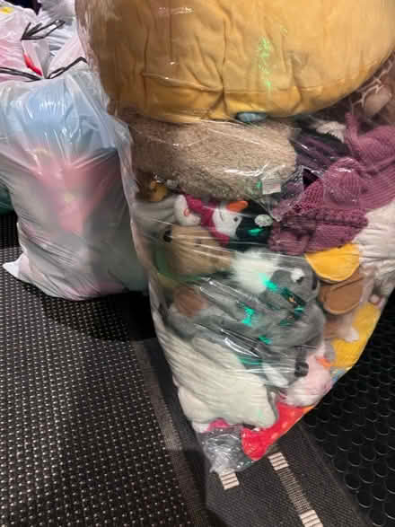 Photo of free A mass of cuddly toys (Lambs Green RH12) #2