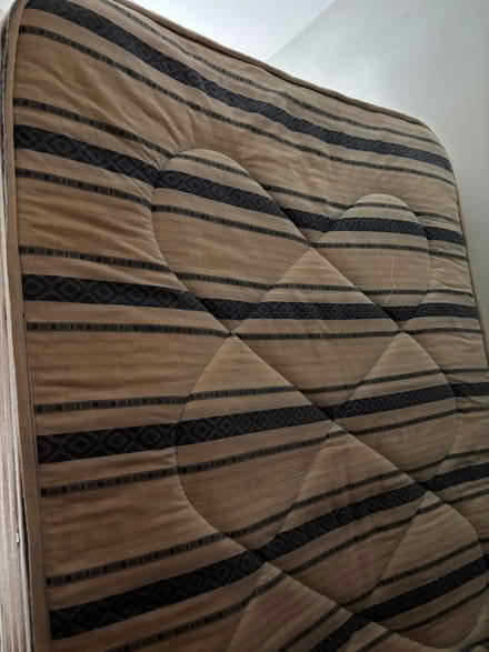 Photo of free Single mattress (Belle Vue SY3) #2