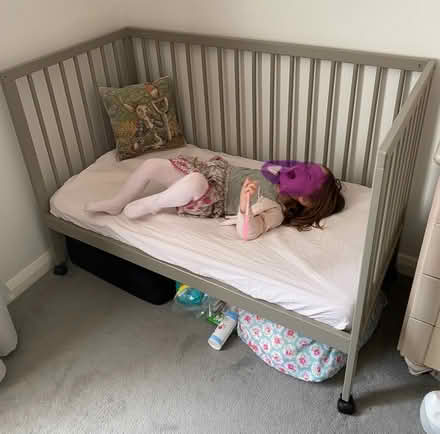 Photo of free MOKEE Cot (Solid Beachwood) (Barnes SW15) #1