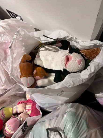 Photo of free A mass of cuddly toys (Lambs Green RH12) #4