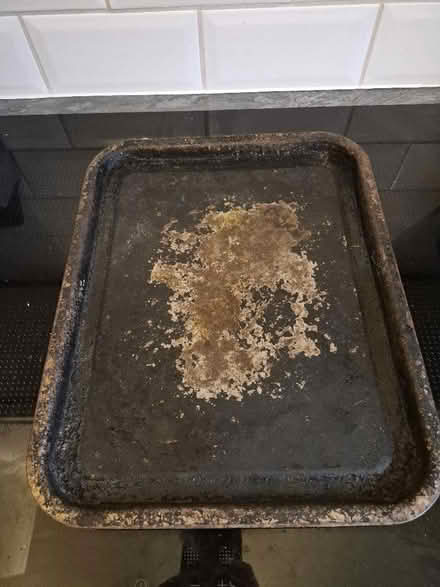 Photo of free Tray (Preston Park area BN1) #1