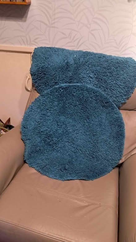 Photo of free 2 circular bath mats (EX2) #2