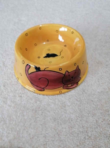 Photo of free Cat food bowl (Langney BN23) #1