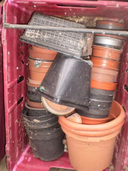 Photo of free Various Plantpots plastic (Oxton CH43) #2