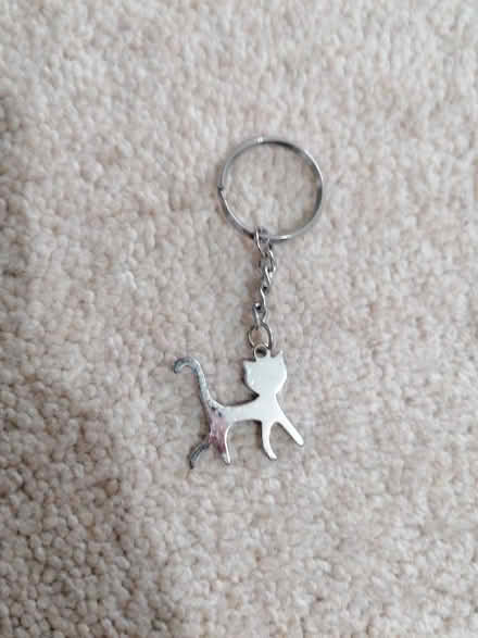 Photo of free Keyring (Langney BN23) #1