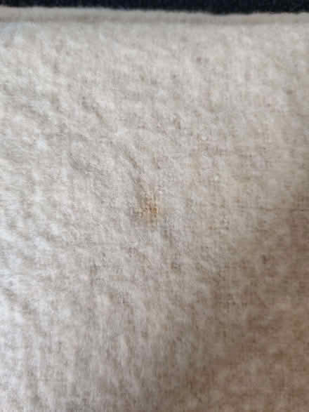Photo of free Vintage wool blanket (Meersbrook S8) #4