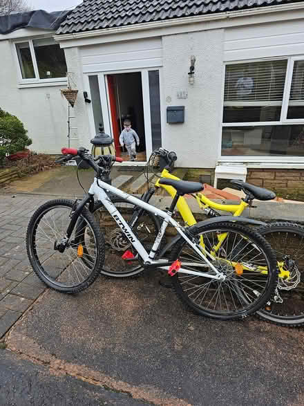 Photo of free Bikes (East Kilbride G74) #2