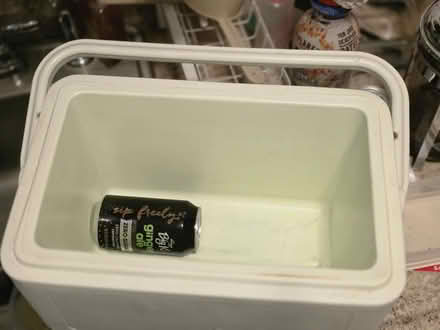 Photo of free Cooler that needs a cleanup (Near Downtown Ypsilanti) #3