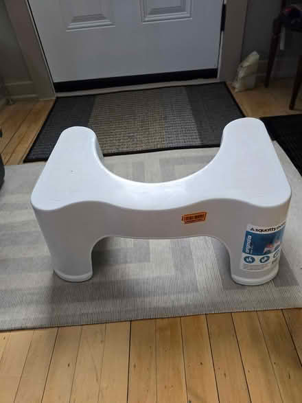 Photo of free squatting potty (Vanier north) #1