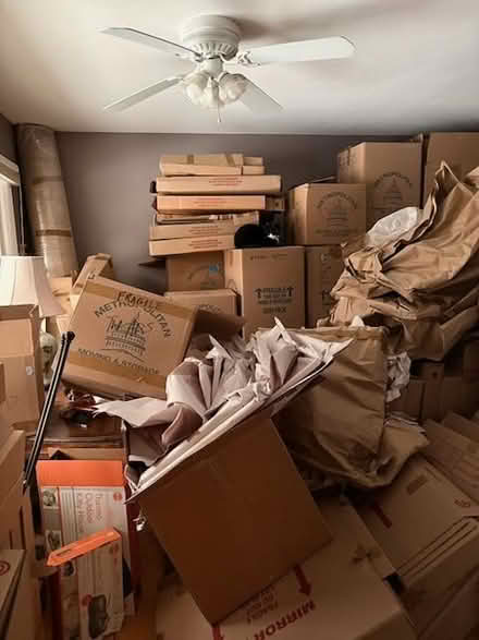 Photo of free Loads of moving boxes and paper (Brewster) #1