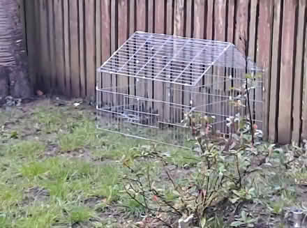 Photo of free Outdoor rabbit run (S137TR) #1