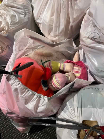 Photo of free A mass of cuddly toys (Lambs Green RH12) #3