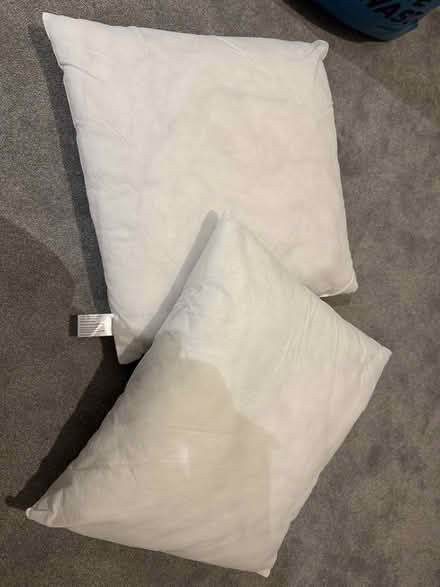 Photo of free John Lewis pillows (CO4 Colchester) #2