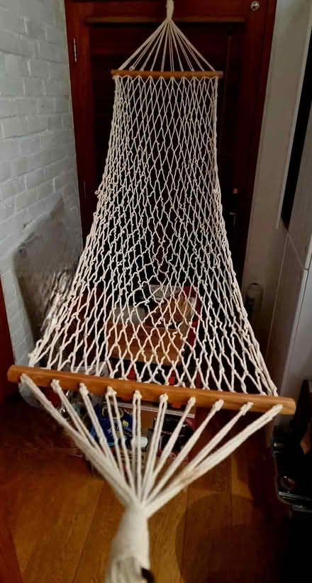 Photo of free Hammock (Uckfield, Ringles Cross TN22) #1