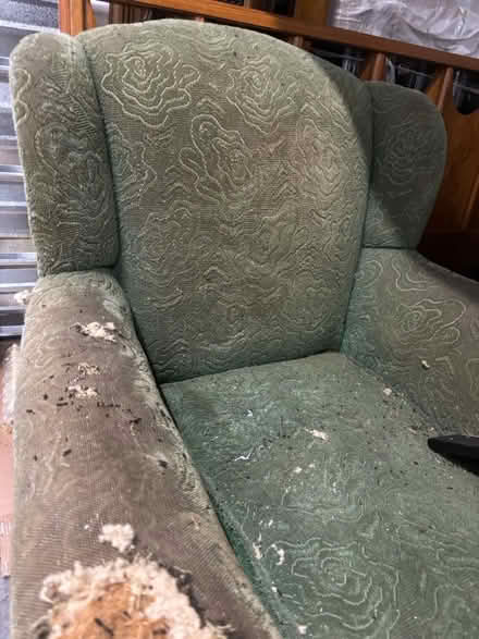 Photo of free Reupholster This Antique Chair (Northeast Minneapolis) #3