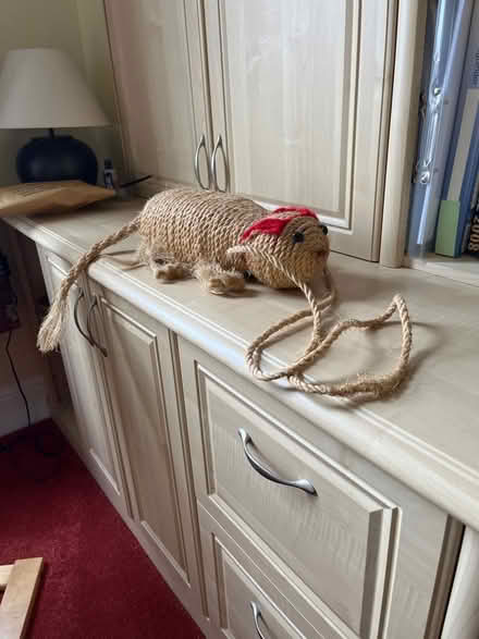 Photo of free Scratching toy for cat (Goodmayes IG3) #1