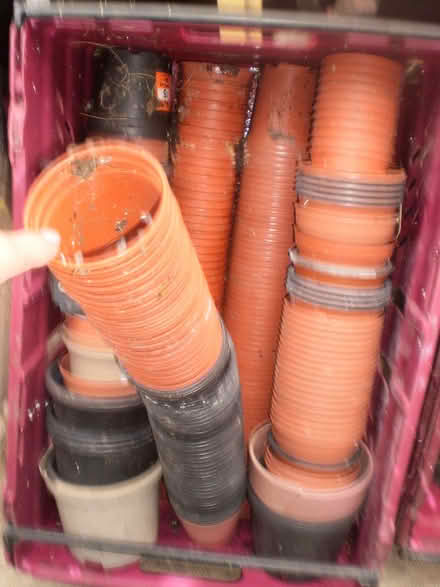 Photo of free Plantpots plastic (Oxton CH43) #2
