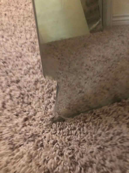 Photo of free Rectangular Mirrors 36”x54”x1/4” (Aurora) #4