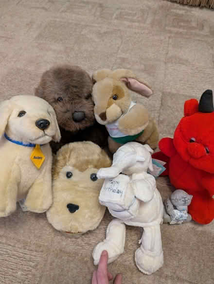 Photo of free Cuddly toys AS NEW - Take all or separately (Whoberley CV5) #1