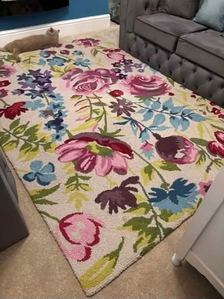 Photo of free Large rug (Wf17 6LQ) #1