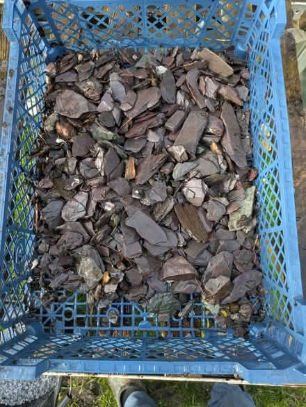 Photo of free Slate chippings (Seabrook, Hythe CT21) #2