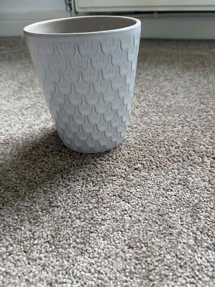 Photo of free Small plant pot (Elm Park RM12) #3