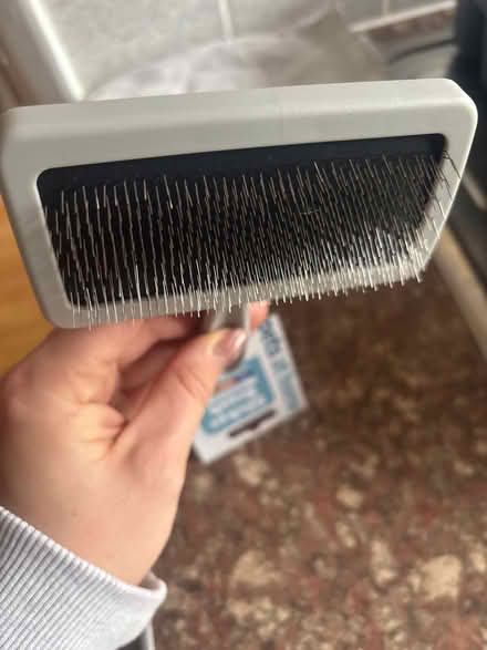 Photo of free Dog and cat brush (TW12) #2