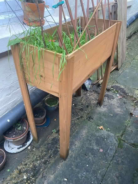 Photo of free Planter (Reading) #1