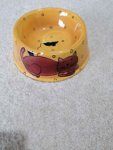 Photo of free Cat food bowl (Langney BN23) #2
