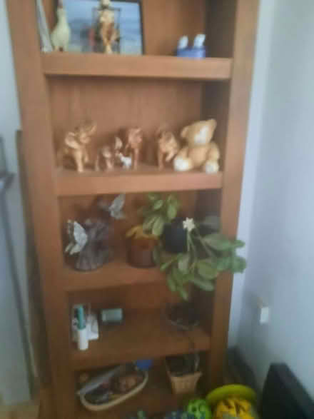 Photo of free Tall solid wood wall unit (Watlington) #1