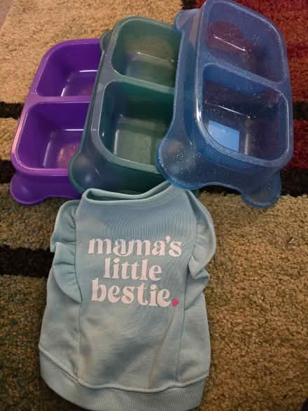 Photo of free Doggy Items! 🐕 (Block by Lombard pool) #1