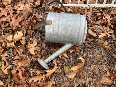 Photo of free Galvanized watering can (Chesterbrook) #1