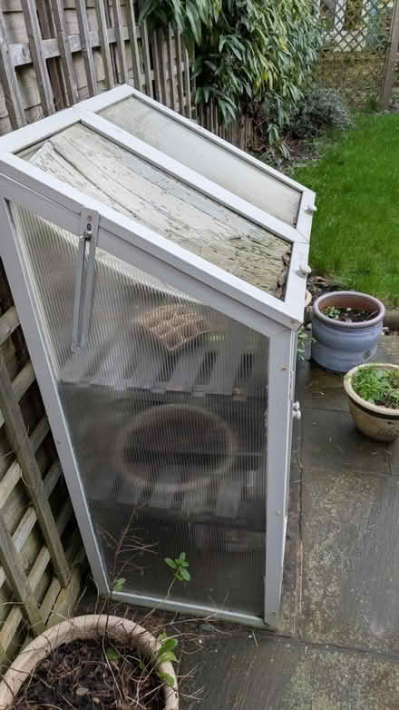 Photo of free Seedling Germination thing (Shrewsbury, Castlefields) #4