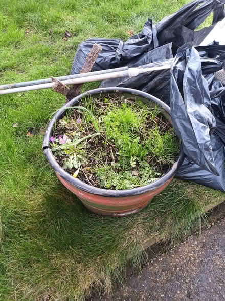Photo of free 2 planters (Stannington S6) #2