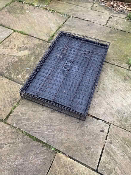 Photo of free Dog crate (Hackney E9) #2