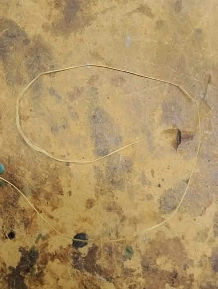 Photo of free Large reel of cord / string (Gunton NR32) #2