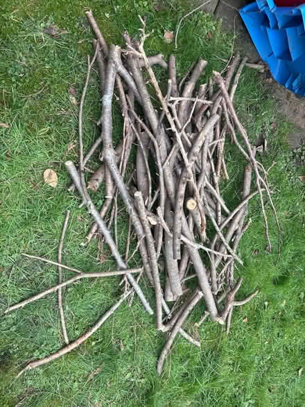 Photo of free Pile of logs (Palmers Green/ Edmonton N18) #1
