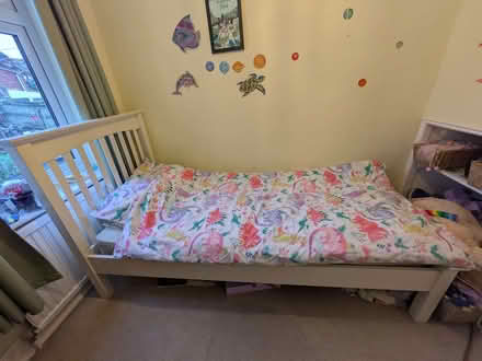 Photo of free Single bed frame (Lightpill GL5) #1