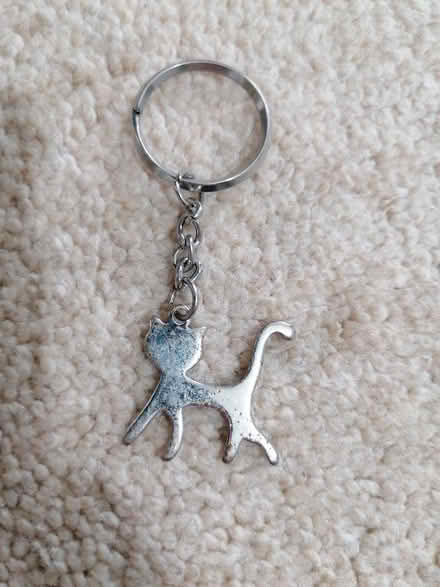 Photo of free Keyring (Langney BN23) #2