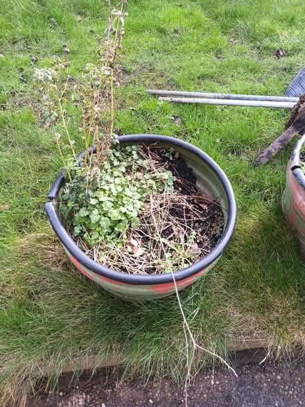 Photo of free 2 planters (Stannington S6) #1
