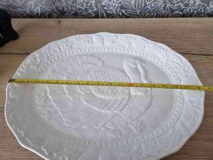 Photo of free Turkey/ serving platter. (Longley S5) #2
